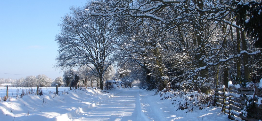 Winter in Winchfield The Hurst 2010