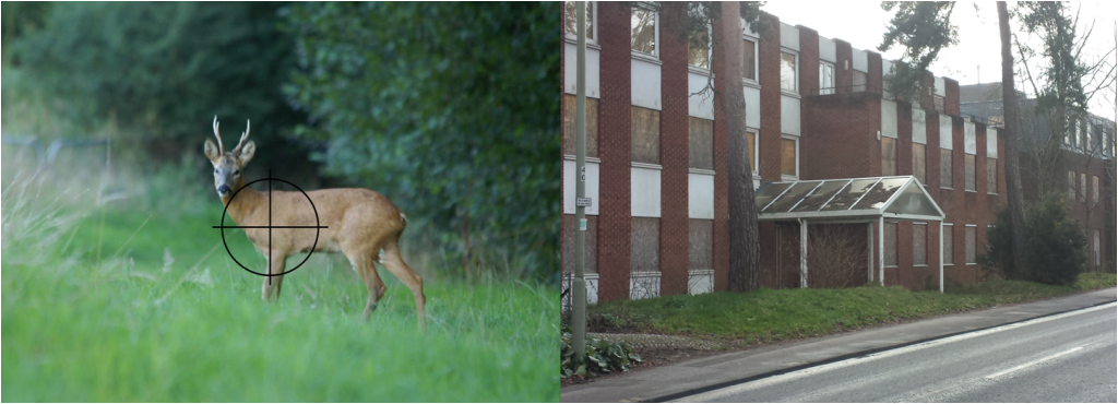 Which would you rather preserve - derelict eyesore or our wildlife?