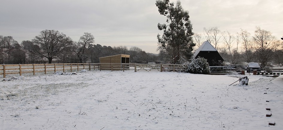 Winchfield Snow Feb 2012