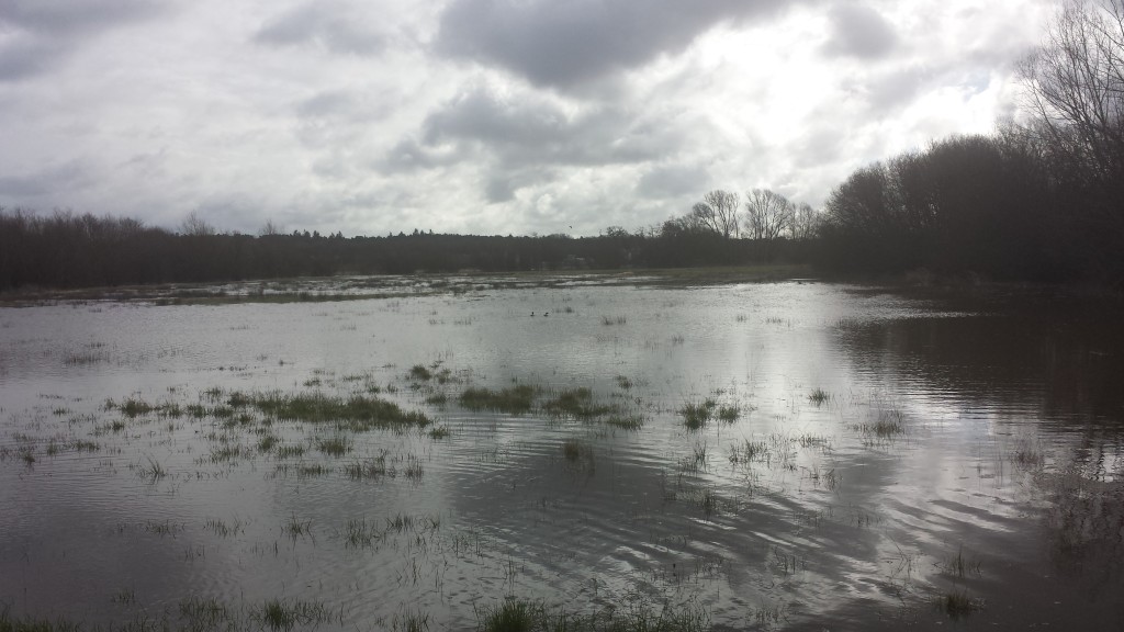 Flood Field near Pale Lane Winchfield 28 March 2016 #StormKatie Storm Katie.