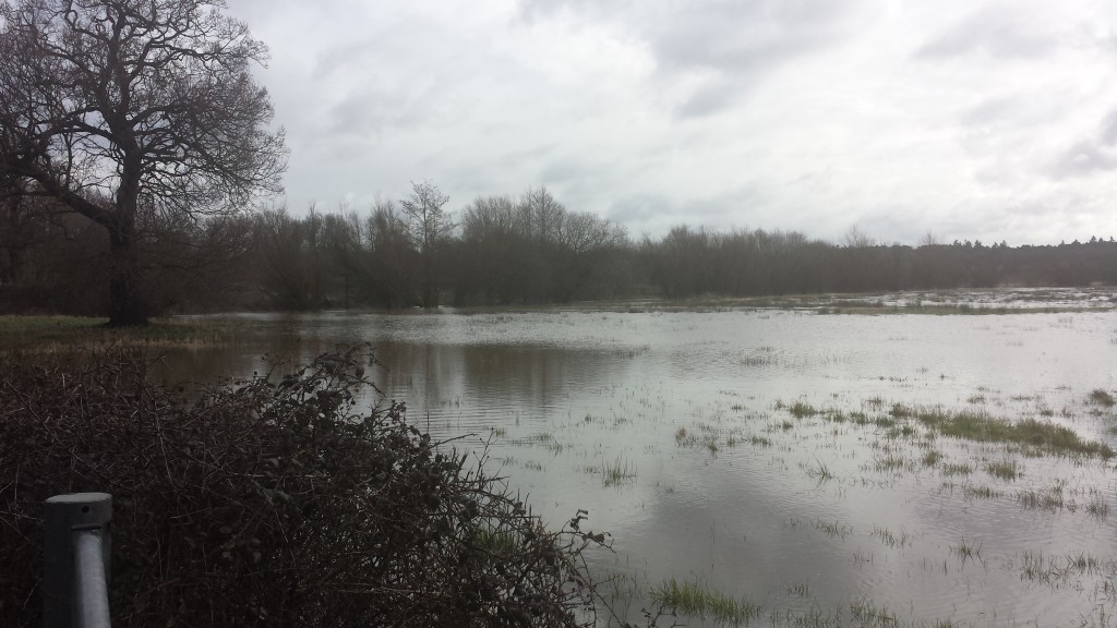 Flood Field near Pale Lane Winchfield 28 March 2016 #StormKatie Storm Katie