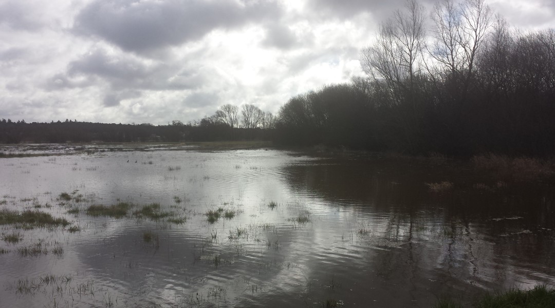 Flood Field near Pale Lane Winchfield 28 March 2016 #StormKatie Storm Katie.