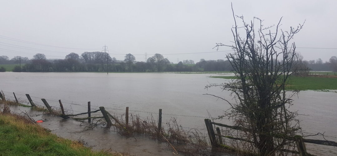 Whitewater Valley Flood, Hook, Hampshire. #StormDennis.
