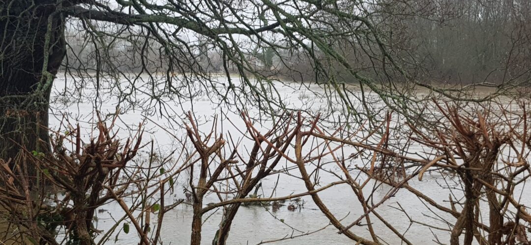 Pale Lane flood #StormDennis.
