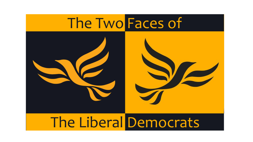 Two Faced Liberal Democrats
