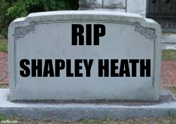 Levelling Up and Regeneration Bill - RIP Shapley Heath